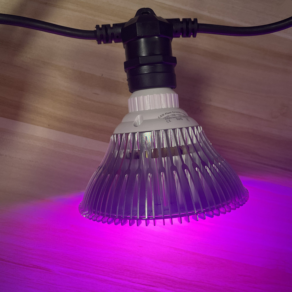 สายไฟ LED ยาว 10 เมตร เกรดเชิง - Outdoor Lighting Effects บทวิจารณ์และราคา